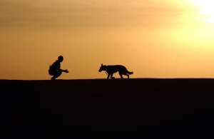 gf01a201503090800[1].jpg